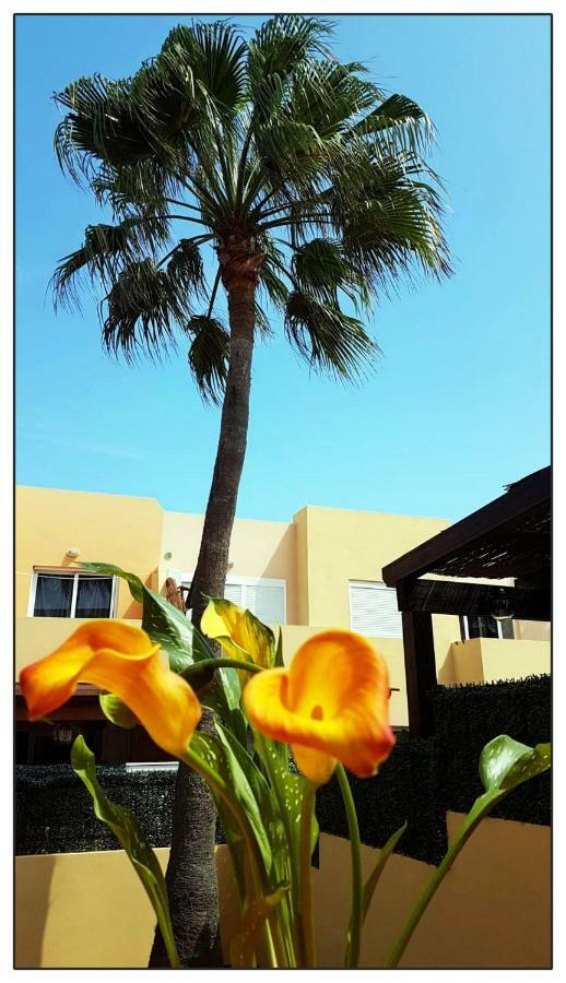 Apartamento Lur de la playa Corralejo Exterior foto