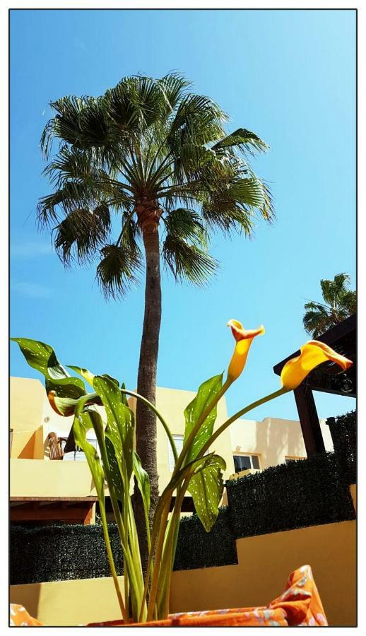 Apartamento Lur de la playa Corralejo Exterior foto
